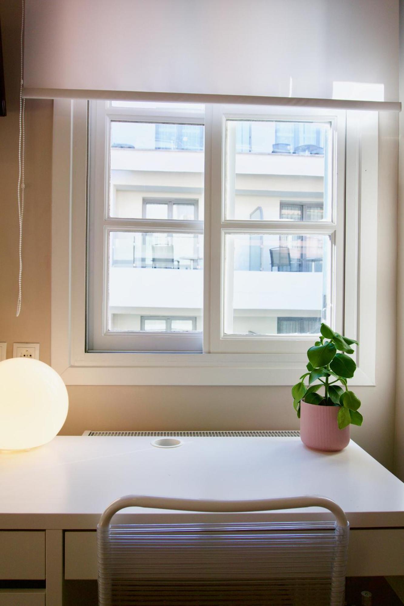 Syntagma Square: Amazing Cozy Studio - Whale Athen Eksteriør bilde
